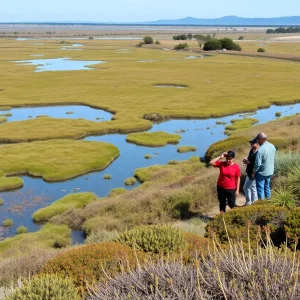 Community members discussing at a workshop about the Frank and Joan Randall Preserve.