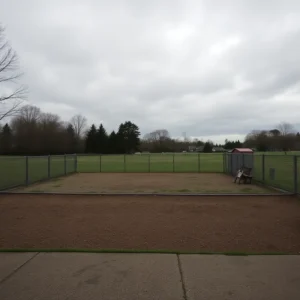 A deserted dog park under a cloudy sky, symbolizing the loss of canine lives.
