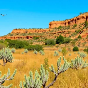 Scenic view of Fairview Park with native plants and wildlife.